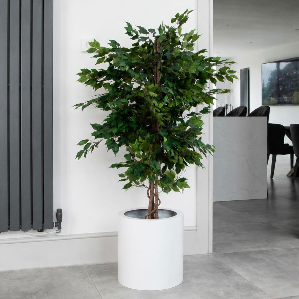 Artificial Ficus Tree – 150cm